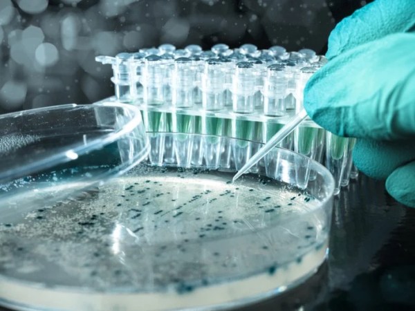 Robots are Saving the&nbsp;World